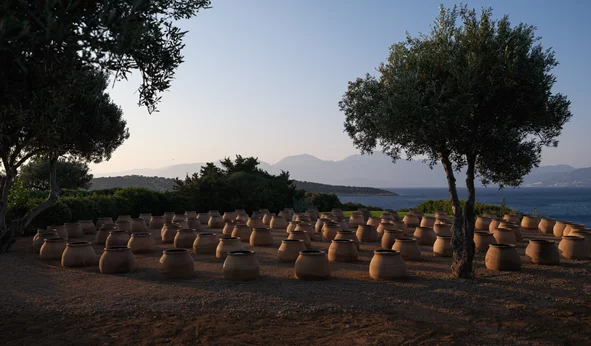 Ανοικτό κάλεσμα για το Βραβείο Τέχνης 2026 του Ιδρύματος Γ. &amp; Α. Μαμιδάκη