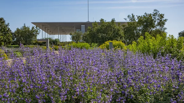 Πρωτομαγιά στο ΚΠΙΣΝ με μουσική, χορό και ανοιξιάτικες δραστηριότητες για όλους