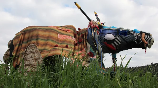 "Οn Becoming an animal": Η περφόρμανς του Πάνου Σκλαβενίτη έρχεται στο MOMus Θεσσαλονίκης