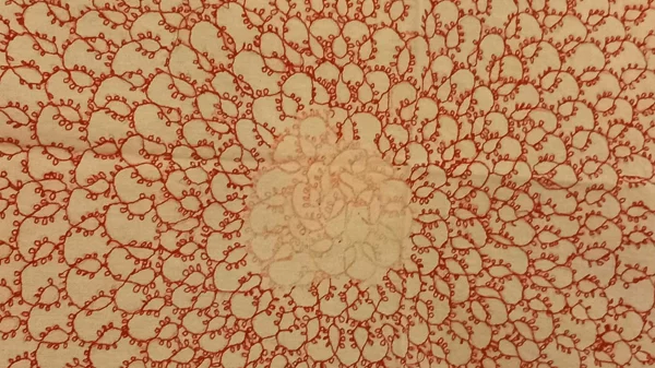 Η έκθεση "Re.trace" αναδεικνύει έναν κόσμο γήινης ποικιλομορφίας