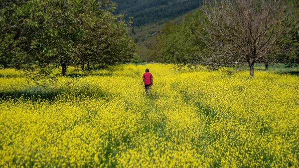 Στο "Σπόρο", οι άνθρωποι μεταμορφώνουν τους τόπους τους