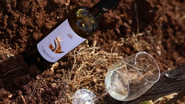 Οινοποιητική Σώκος: Το μονοποικιλιακό "Σαββατιανό" που αγαπά το ελληνικό Πάσχα