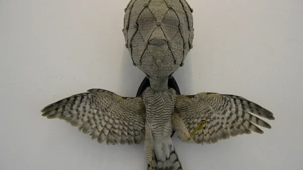 Η Nina Saunders στην Αθήνα με αφορμή την έκθεση True Believers (Part I)