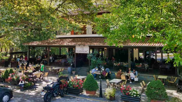 "Πλάτανος"  Καλαμπάκας:  μια παραδοσιακή ταβέρνα που εξελίσσεται τολμηρά