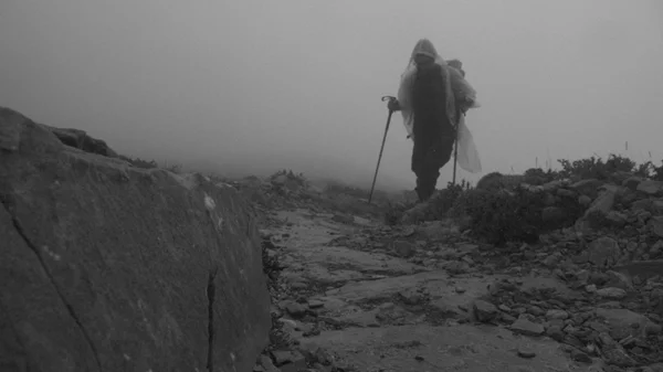 Η Πρώτη, τελευταία και παντοτινή μπιενάλε του Ψηλορείτη δεν είναι ούτε πρώτη, ούτε τελευταία, ούτε μπιενάλε!