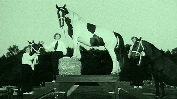 Για την Έλια Καλογιάννη "κάποιες φορές, η εκδίκηση από τη μεριά της φύσης έρχεται ως λύτρωση"