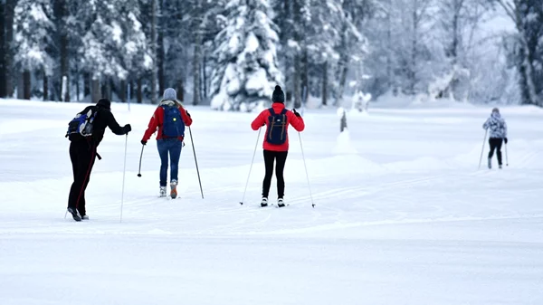 Δράμα: Άνοιξε το Χιονοδρομικό Κέντρο Φαλακρού μετά από πέντε χρόνια