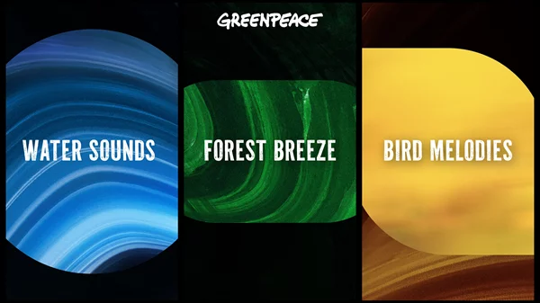 Μπορεί μια playlist με nature sounds από την Greenpeace να βοηθήσει τη φύση;