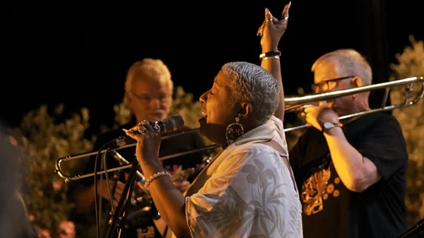 8ο Διεθνές Jazz Φεστιβάλ της Καρδαμύλης από την Πρεσβεία της Νορβηγίας στην Αθήνα και το Μουσείο Μπενάκη