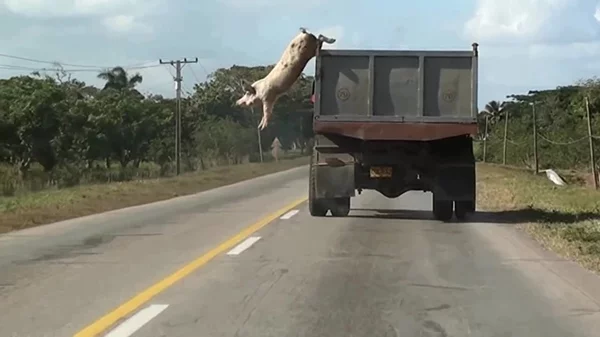 Αφού υπάρχει το ΕΜΣΤ, τι χρειάζεστε…