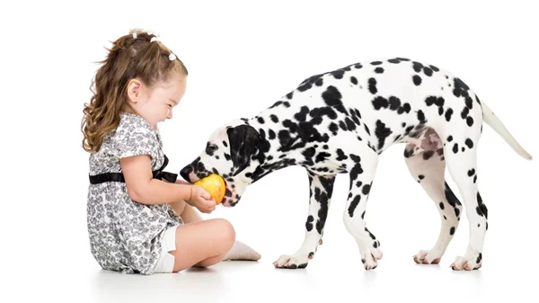 Ασφαλής σχέση με τα ζώα: Οδηγός πρόληψης ατυχημάτων για παιδιά