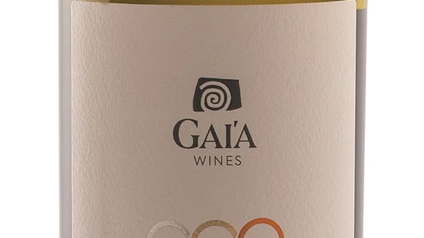 ΑΣΥΡΤΙΚΟ ΤΗΣ ΓΑΙΑΣ WILD FERMENT