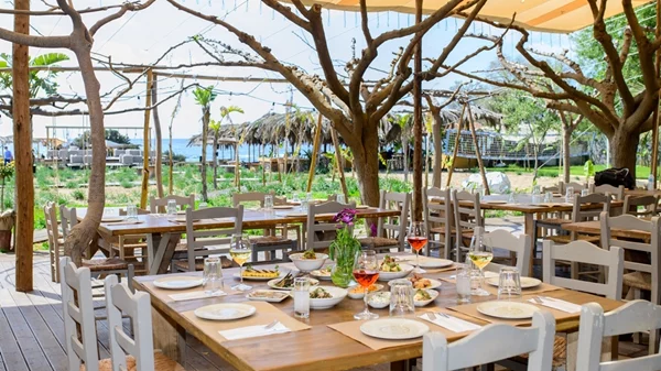 Ammothines: Farm to table με φόντο τους αμμόλοφους