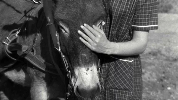 Απόψε (27/9) στην TV: Παρέα με Μπρεσόν και Κρόνερμπεργκ