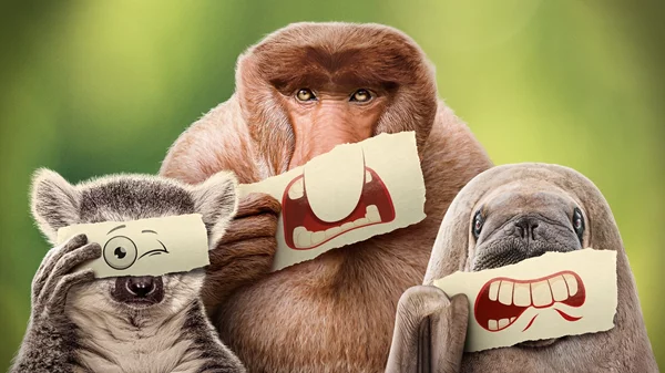 Ο Ράιαν Ρέινολτς αφηγείται την ιστορία των "Αουτσάιντερ"