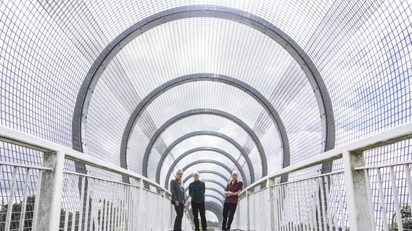 Μια μυσταγωγική βραδιά με τους The Necks: Mουσική, βινύλια και ντοκιμαντέρ στο Ωδείο Αθηνών