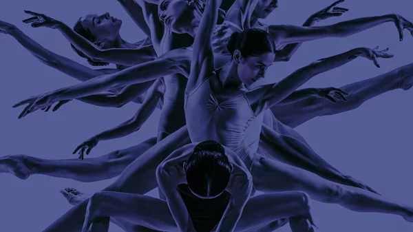 Brown Hotels Χ Lakis Gavalas: Το πιο εκκεντρικό πάρτι της πόλης επιστρέφει by the pool με καλοκαιρινή διάθεση!