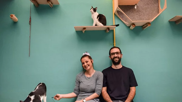 Η περιέργεια γιόρτασε τη γάτα! Το 1ο Cat Festival της Αθήνας είναι γεγονός