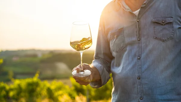 Το Great Greek Wines επιστρέφει δυναμικά το 2025