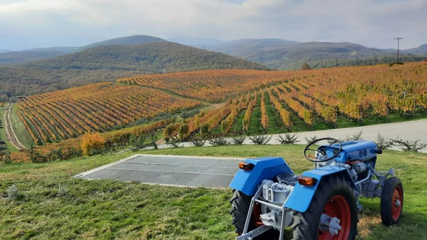 5+1 παραγωγοί από την ταλαιπωρημένη ύπαιθρο που αξίζουν την προσοχή σας