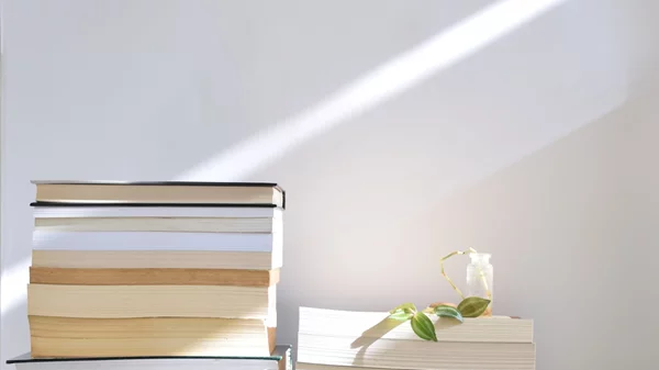 "Πού πάσχει το ελληνικό μυθιστόρημα;": Μία συζήτηση με τον Δημοσθένη Κούρτοβικ για την ελληνική λογοτεχνία (μέρος β)