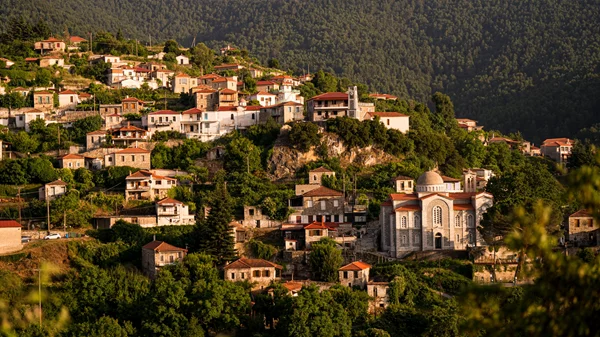 Όσα ετοιμάζει η Βαμβακού για τον Αύγουστο