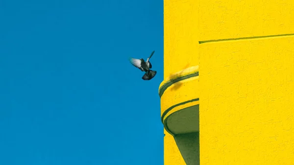 Έναρξη της διαδικτυακής πλατφόρμας "Filmmakers-for-Ukraine"