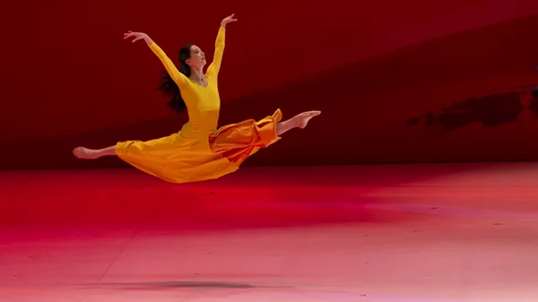 5 θεάματα για όλη την οικογένεια