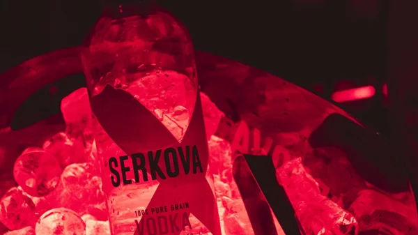 H Serkova Vodka έδωσε τον παλμό στο X show των Adriatique!