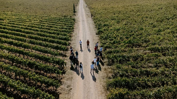 Οι Mantinians βάζουν σε πρώτο πλάνο τον αμπελώνα της Μαντινείας