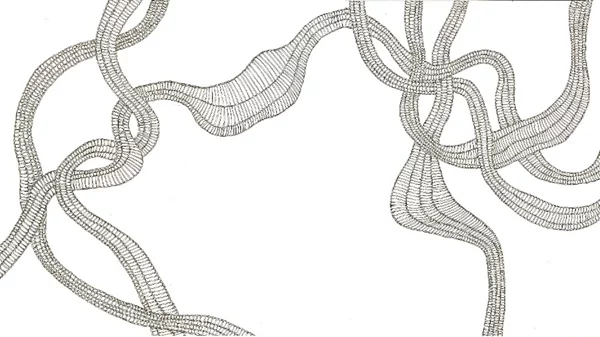 Τα "διχαλωτά μονοπάτια" της Θάλειας Χιώτη