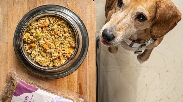 Οι υπερτροφές δεν ωφελούν μόνο εσένα, αλλά και το σκύλο σου - Και θα τις βρεις στο μαγειρευτό φαγητό για το κατοικίδιό σου