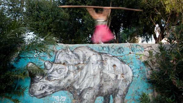 "meta-Rινόκερos": Ένα αντισυμβατικό σαφάρι στην αστική σαβάνα