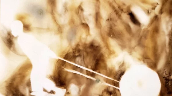 "Σκιές Φωτιάς": Ο Ανδρέας Νικολαΐδης μάς προσκαλεί σε ένα ταξίδι αυτογνωσίας και αναμνήσεων