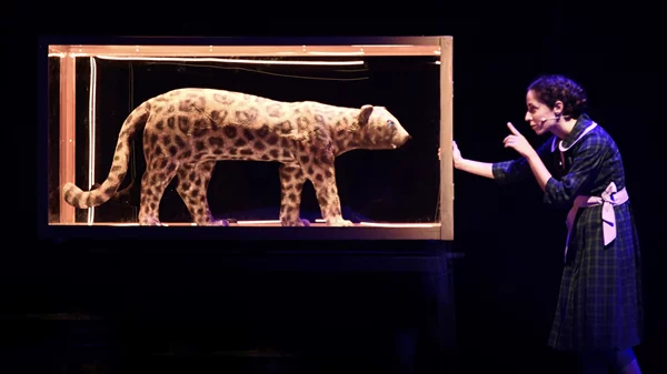 Το θρυλικό "Καπλάνι της Βιτρίνας" συνεχίζει την επιτυχημένη του πορεία στο Ίδρυμα Μιχάλης Κακογιάννης!