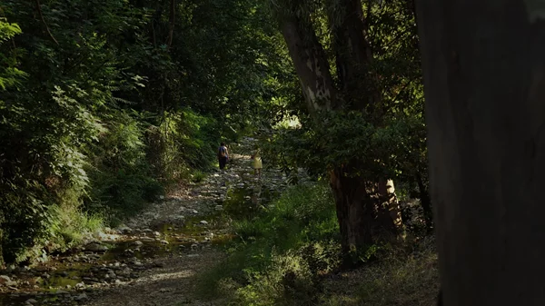 "Ρεματιά 10 χρόνια μετά": Η Δάφνη Λιαναντωνάκη μάς προσκαλεί στην έκθεση του Αρχείου της Ρεματιάς