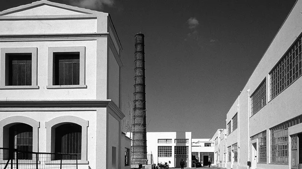 Απόφοιτοι της ΑΣΚΤ έφτιαξαν podcast για την ιστορία της νεοελληνικής τέχνης