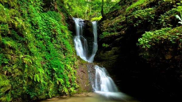 Γιορτή γεύσεων και φύσης στο Ελατοχώρι