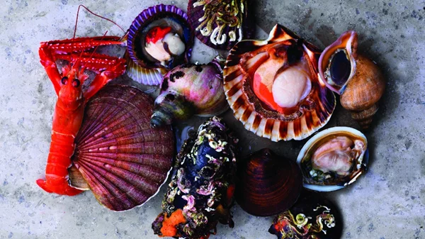 Η επιστροφή των εφήμερων εστιατορίων