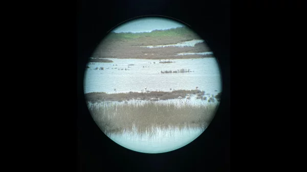 "Το Αιτωλικό είναι το καλύτερο μέρος στον κόσμο". Και γιατί όχι;