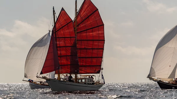 "Surfing on the Art Waves": Μια καλλιτεχνική γιορτή με κοινωνικό αποτύπωμα