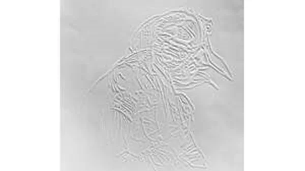 "Όταν ο Κόραξ λευκανθεί...": Η Κατερίνα Ζαχαροπούλου συνομιλεί με τον Βασίλη Ντούπα με αφορμή την έκθεσή της