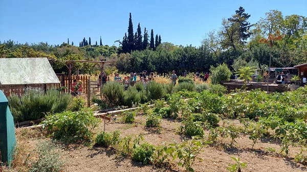 Οι φάρμες της Δυτικής Αττικής με το βλέμμα στραμμένο στη βιώσιμη καλλιέργεια