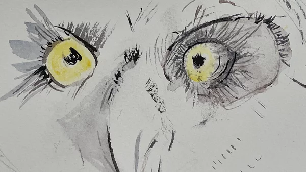 "Τελετουργίες για τον Νέο Κόσμο": Ένα αστικό φεστιβάλ ξεφυτρώνει στο Τέρας