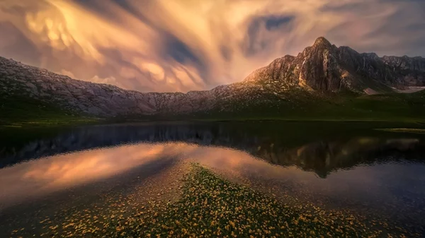 Κι εσύ πρέπει να μάθεις για τη βιοποικιλότητα -και αυτή η ημερίδα είναι η ευκαιρία σου