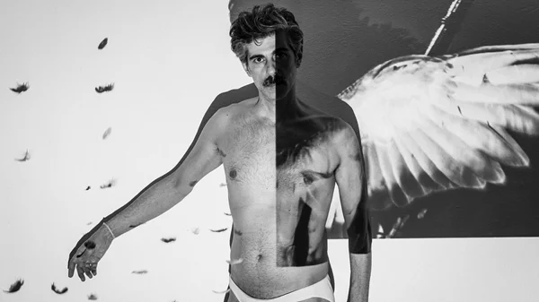 Οι Elephas tiliensis σκηνοθετούν τη "Νύχτα της κουκουβάγιας"