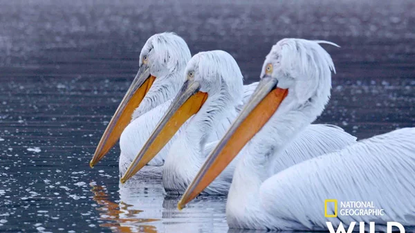 Ανακαλύπτουμε τα "Κρυμμένα Θαύματα" της Ελλάδας στο National Geographic