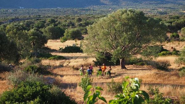 Κιβωτός Κορογώνα: Ένα πολύπλευρο εγχείρημα ολιστικής σύνδεσης με την φύση που δεν χωράει σε ταμπέλες
