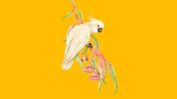 "Δείξε μου το ράμφος σου να σου πω ποιο είσαι": Δωρεάν εκπαιδευτικό πρόγραμμα για παιδιά από το Μουσείο Φυσικής Ιστορίας Δήμου Αμαρουσίου