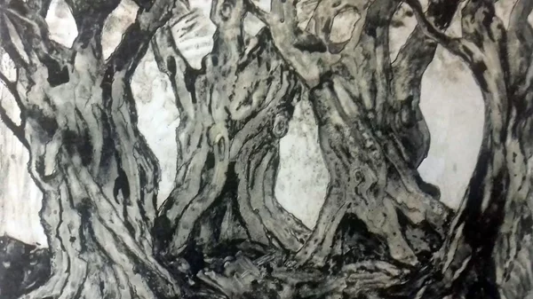 Μαθαίνουμε πώς η ελιά έγινε πηγή έμπνευσης των Ελλήνων Χαρακτών – Ζωγράφων του 20ου αιώνα